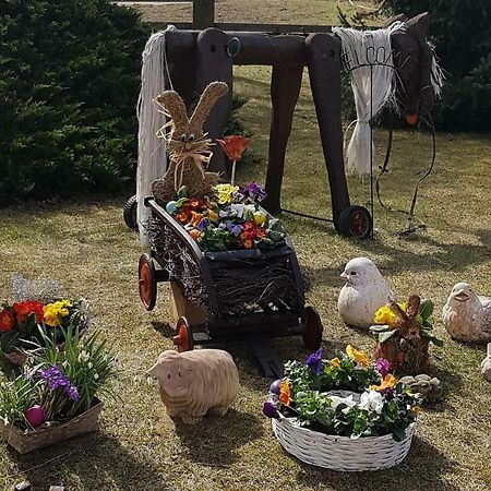 Urlaubsscheune Niedergorsdorf 외부 사진