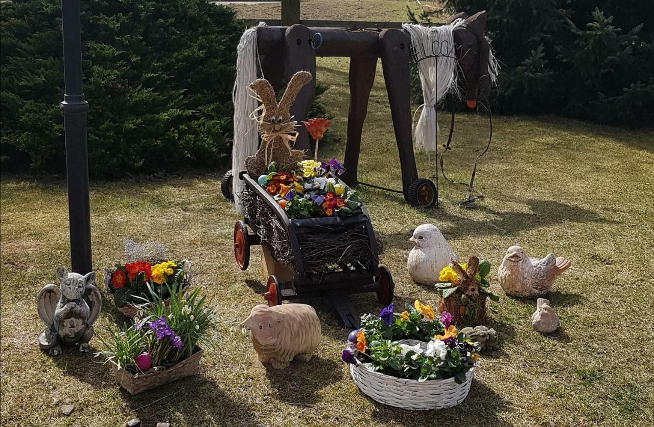 Urlaubsscheune Niedergorsdorf 외부 사진